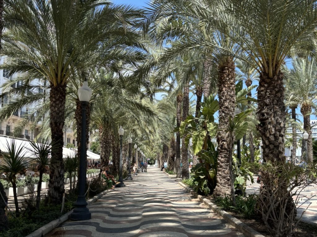 Explanada de España boulevard in Alicante.