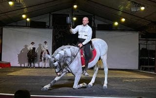 Restaurant Villa Salada flamenco dinner show with horses.