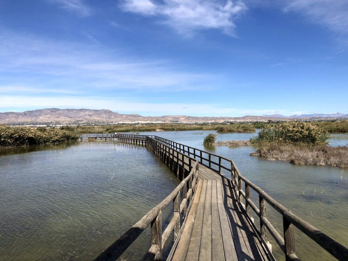 Natuurpark El Hondo in Elche.