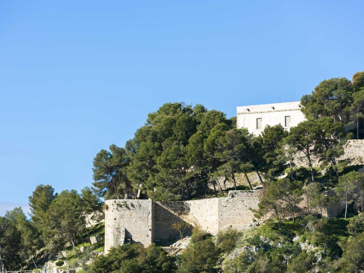 El verdor que rodea el Castillo de Dénia