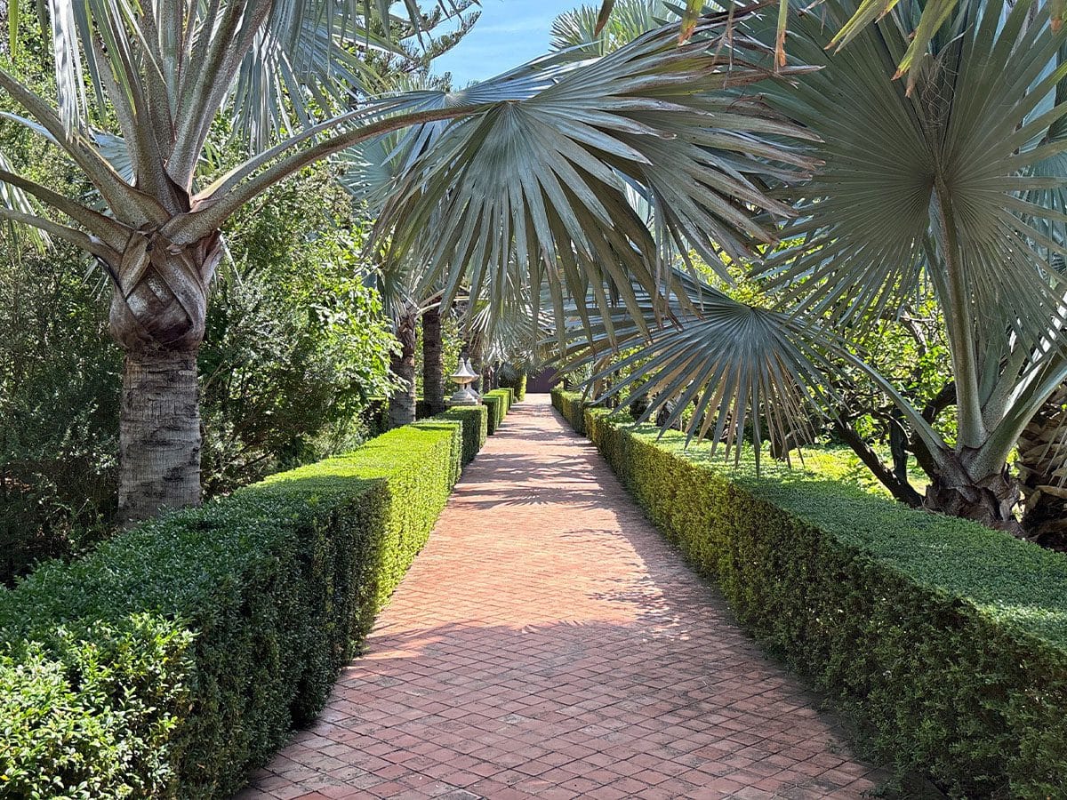 Jardín de l'Albarda pad met palmen.