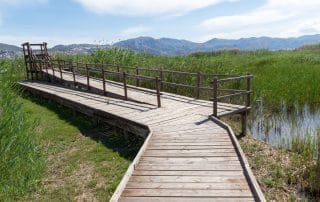 Parque Natural Marjal de Pego-Oliva.