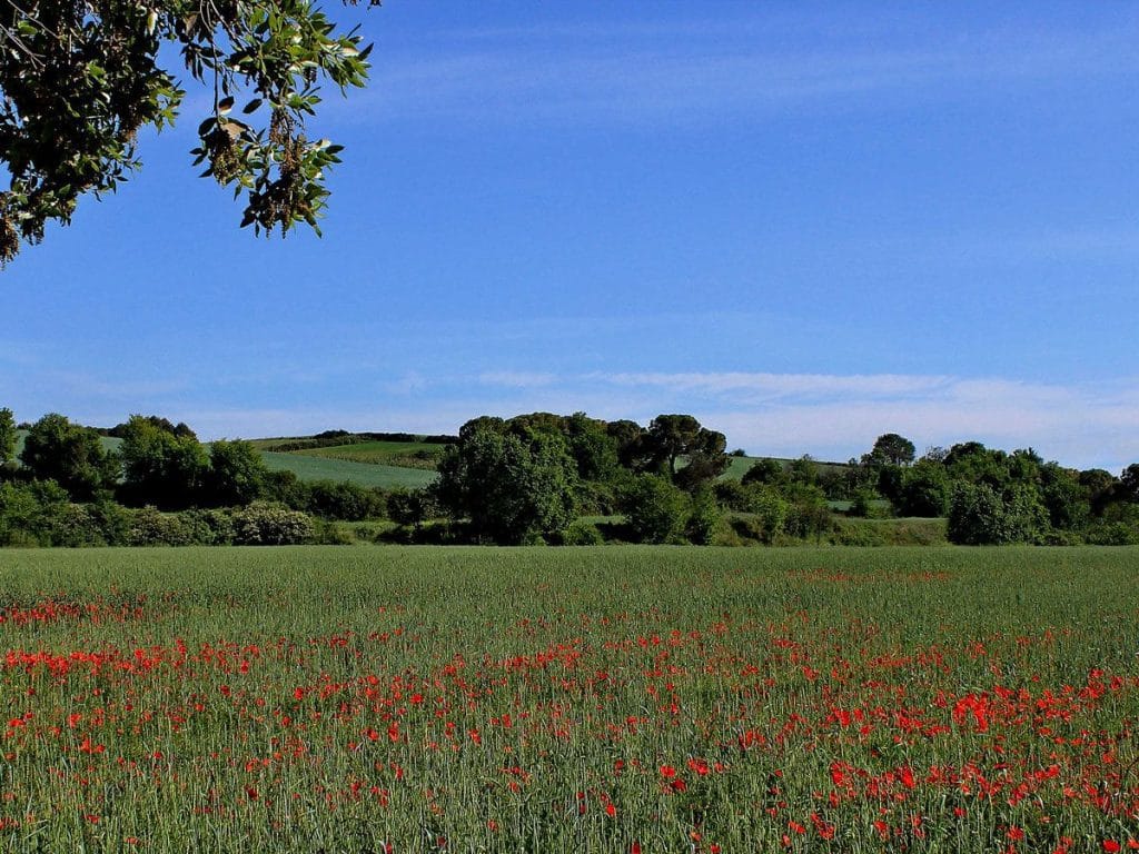 Logo Alicante City & Beach