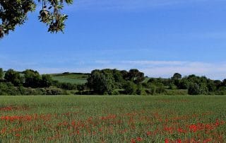 Parque Natural de la Sierra de Mariola.